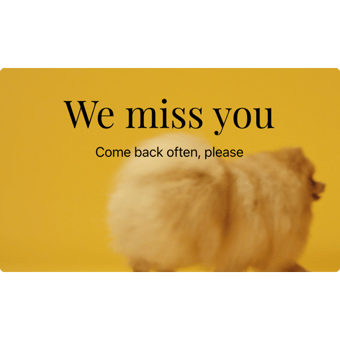 Video Background