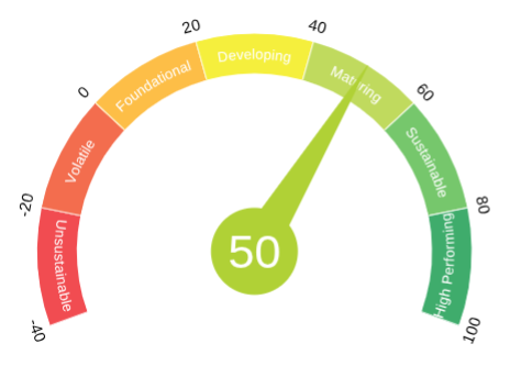 Gauge Chart