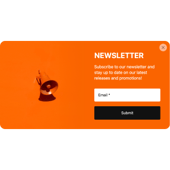 Newsletter Subscribe